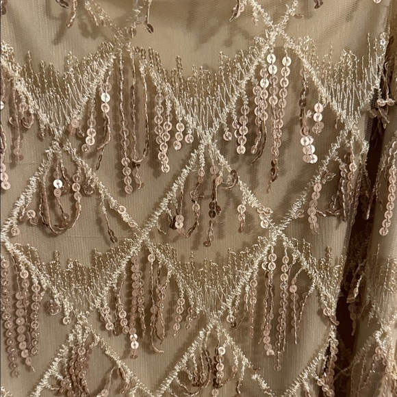 Streetwear Society Sequin Fringe Dress in Gold and Cream - Picture 3 of 6